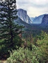 Yosemite through the trees